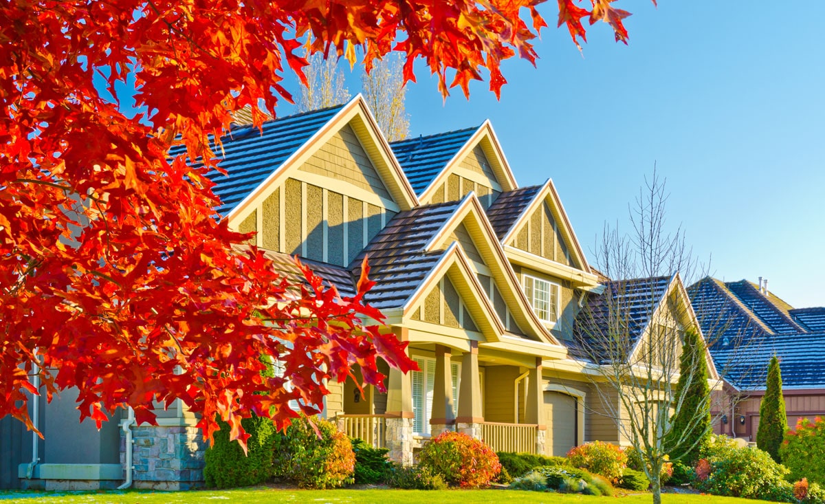 Search In Ottawa ~ Just Listed!